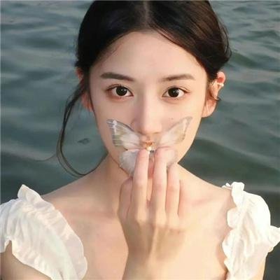 苏菲的世界